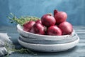 Plates with ripe red onions Royalty Free Stock Photo