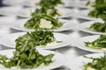 Plates with rucola salad with parmesan