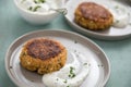 2 Plates with vegetarian oatmeal cottage cheese patty with herbal quark dip