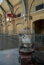 Hedwig on platform 9 3/4 Royalty Free Stock Photo