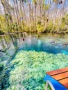 Platform overlooking the aqua teal spring waters surrounded by early spring forest, Buford Sink, Chassahowitzka Wildlife