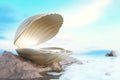 Platform and podium luxury pearl shell on the rocks by the sea amidst natural atmosphere in the morning or sunset light.