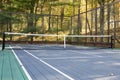 Platform tennis paddle court