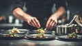 Plating technique workshop showing a chef artistically arranging food on a plate focused hands creating intricate Royalty Free Stock Photo