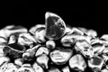 platinum nuggets isolated. Precious metal used in industry used to alloy other metals