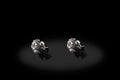 Platinum precious earrings with big diamonds on black background.