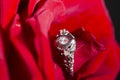 Platinum Ring With A Diamond On A Red Rose, close-up