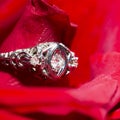 Platinum Ring With A Diamond On A Red Rose, close-up