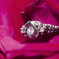 Platinum Ring With A Diamond On A Red Rose, close-up