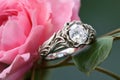 platinum wedding rings on a budding peony, with natural background