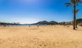 Spain Majorca, sand beach with palm trees at seaside of bay of Alcudia Royalty Free Stock Photo