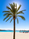 Platja de Alcudia beach in Mallorca Majorca Royalty Free Stock Photo