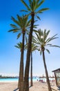 Platja de Alcudia beach in Mallorca Majorca Royalty Free Stock Photo