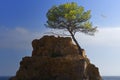 Platja de la Mar Menuda, Tossa de Mar Catalonia Royalty Free Stock Photo