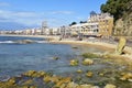 Platja de Lloret beach in Lloret de Mar, Spain