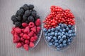 Platter of berries: blackberry, blueberry, raspberry and red currant Royalty Free Stock Photo