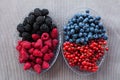 Platter of berries on table from garden: blackberry, blueberry, raspberry and red currant