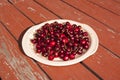 A Platter of Cherries on a Rustic Picnic Table Royalty Free Stock Photo