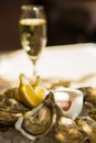 A platter of fresh organic raw oysters on ice Royalty Free Stock Photo