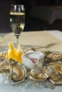 A platter of fresh organic raw oysters on ice Royalty Free Stock Photo