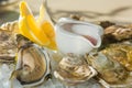 A platter of fresh organic raw oysters on ice Royalty Free Stock Photo