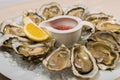 A platter of fresh organic raw oysters on ice Royalty Free Stock Photo
