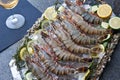 Platter of fresh seafood Royalty Free Stock Photo