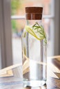 A platter of water with a slice of lemon and a sprig of rosemary. Freshness, a glass of water before lunch, healthy food