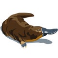 Platypus