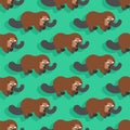 Platypus pattern seamless. cute duckbill background. Baby fabric texture. ornithorhyncus vector ornament
