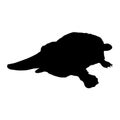 Platypus (Ornithorhynchus anatinus) Swimming On a Front View Silhouette Found In Map Of Oceania