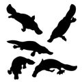 Platypus set vector