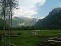 Plav Montenegro landscape in summer green fertile field