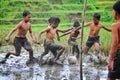 Play ball in the mud Royalty Free Stock Photo