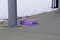 Play purple toy wig lying on paved sidewalk next to snow