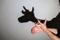 Play shadow projected against a white background, rudolf reindeer