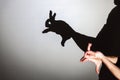 Play shadow projected against a white background. a rabbit