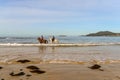 Playa America - Nigran - Galicia Royalty Free Stock Photo