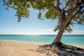 Playa Ancon, Trinidad, Cuba Royalty Free Stock Photo