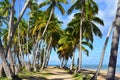 Playa Bonita beach on Dominican Republic