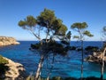 Playa de Formentor Cala Pi de la Posada , beautiful beach at Cap Formentor, Palma Mallorca, Spain Royalty Free Stock Photo