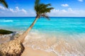 Playa del Carmen beach palm trees Mexico Royalty Free Stock Photo