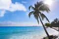 Playa del Carmen beach palm trees Mexico Royalty Free Stock Photo