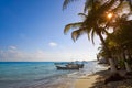 Playa del Carmen beach palm trees Mexico Royalty Free Stock Photo