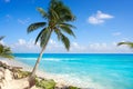 Playa del Carmen beach palm trees Mexico Royalty Free Stock Photo