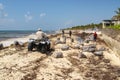 PLAYA DEL CARMEN, MEXICO - 19 April 2022: Sargassum being cleared from the beachon the beach in Playa del Carmen