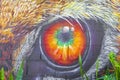 Wall paintings graffiti tiger leopard jaguar eyes eye in Mexico