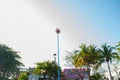 Playa del Carmen, Mexico, Riviera Maya: Dance of Los Voladores the Totonac, performing ancient ritual Royalty Free Stock Photo