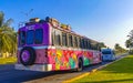 Colorful pink yellow green Xcaret bus Playa del Carmen Mexico