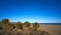 Playa El Pinar beach in Grao de Castellon Royalty Free Stock Photo